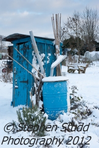 Blue shed on allotment covered in snow, wintertime