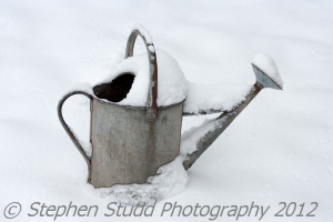 Watering can in snow