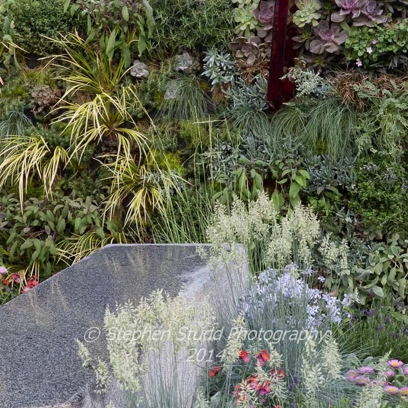 RHS Chelsea flower show 2014 - The Mind's Eye garden for the RNIB - Royal National Institute for the Blind - designers LDC Design - sponsors - Countryside - awarded best in show in the Fresh Gardens & Gold medal