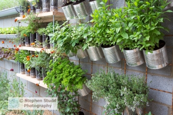 Photographer: Stephen Studd - The Lemon Tree Trust garden, vertical vegetable and herb garden, herbs grown in unusual containers, old plastic bottles and tin cans, parsley, mint, strawberries, thyme - Designer: Tom Massey - Sponsor: Lemon Tree Trust